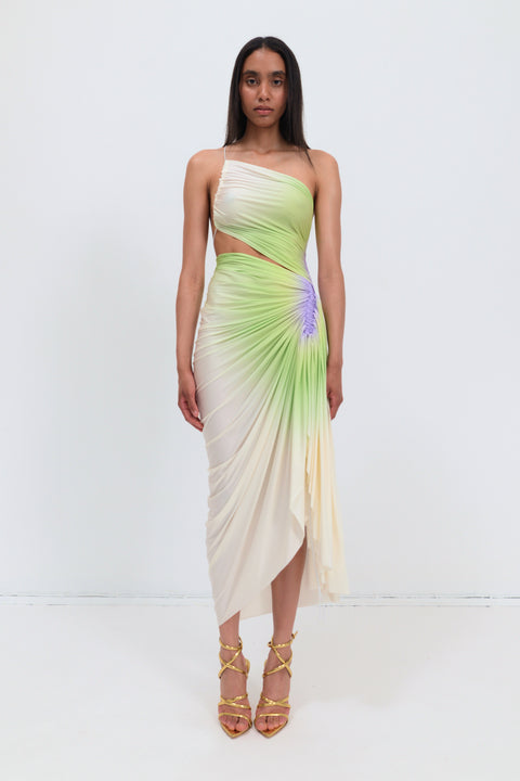 Signature dress in green/purple