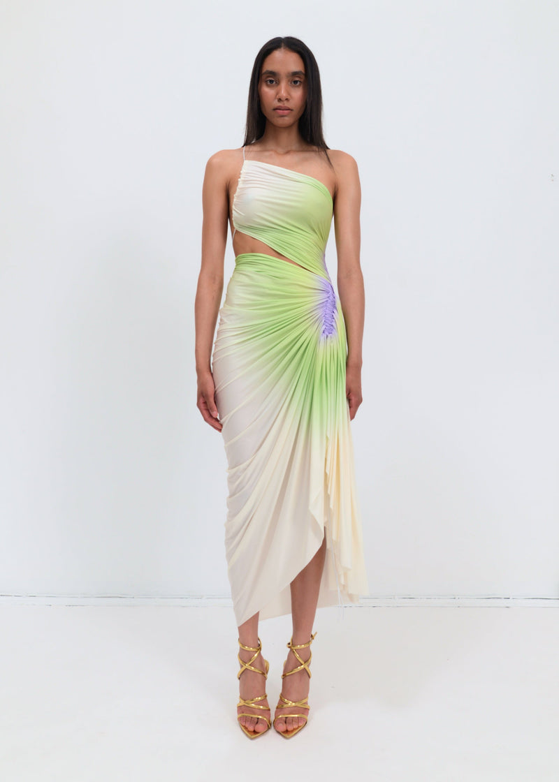 green purple dress Signature dress in green/purple – Fal-ash