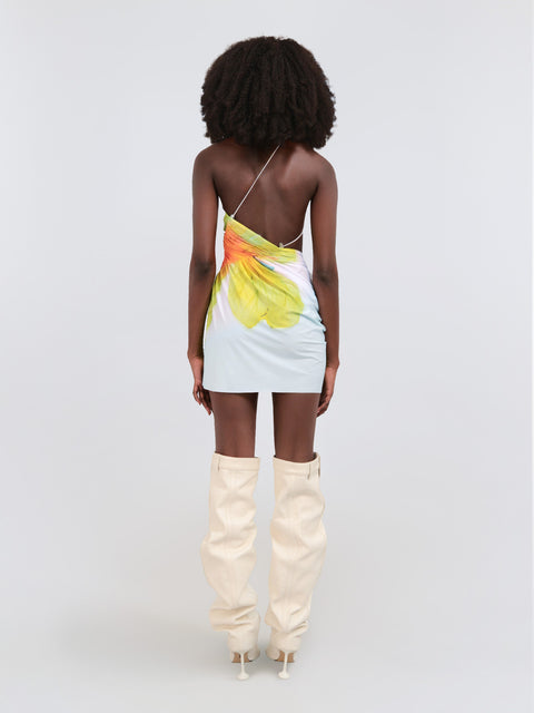 Signature mini floral dress in powder blue/lime