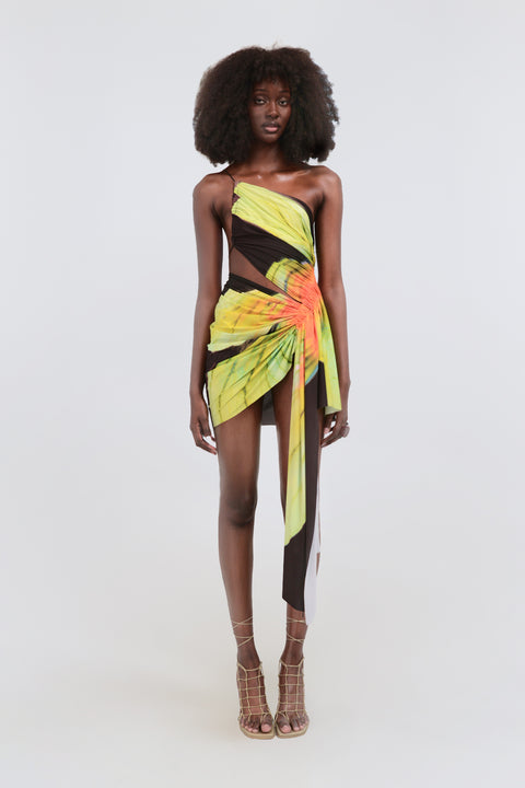 Signature mini floral dress in black/lime